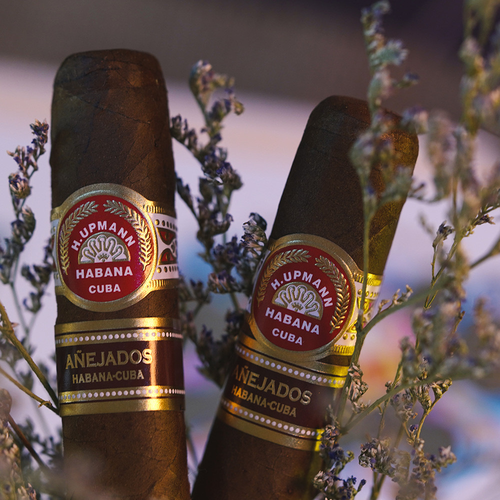 H. Upmann